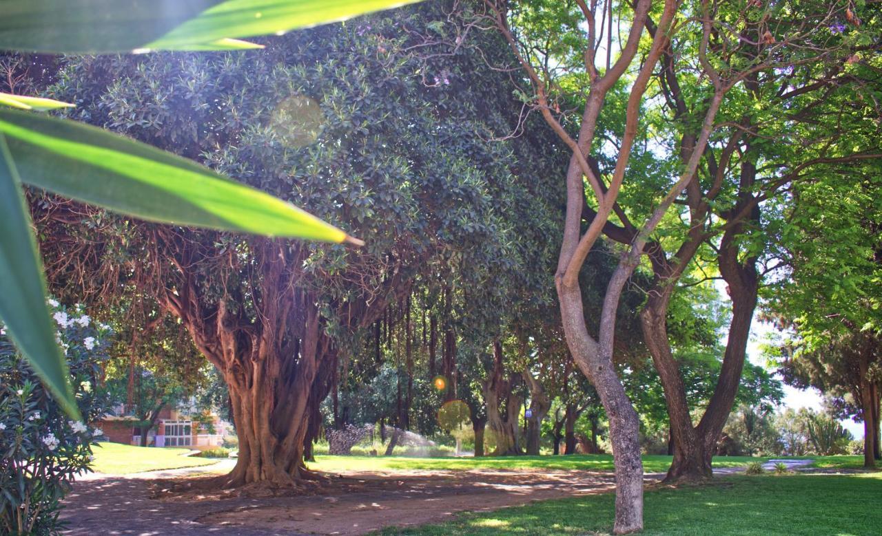 דירות Parque De La Paloma Area - Benalmadena Costa מראה חיצוני תמונה